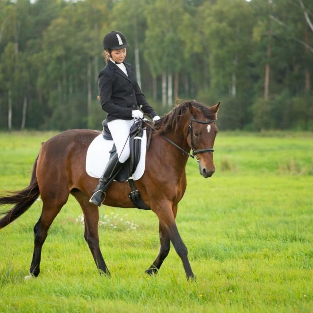 cavalière