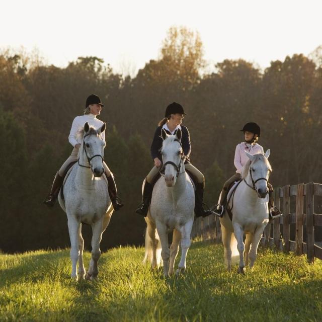 balade cavaliers