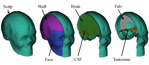 Fig 6_0