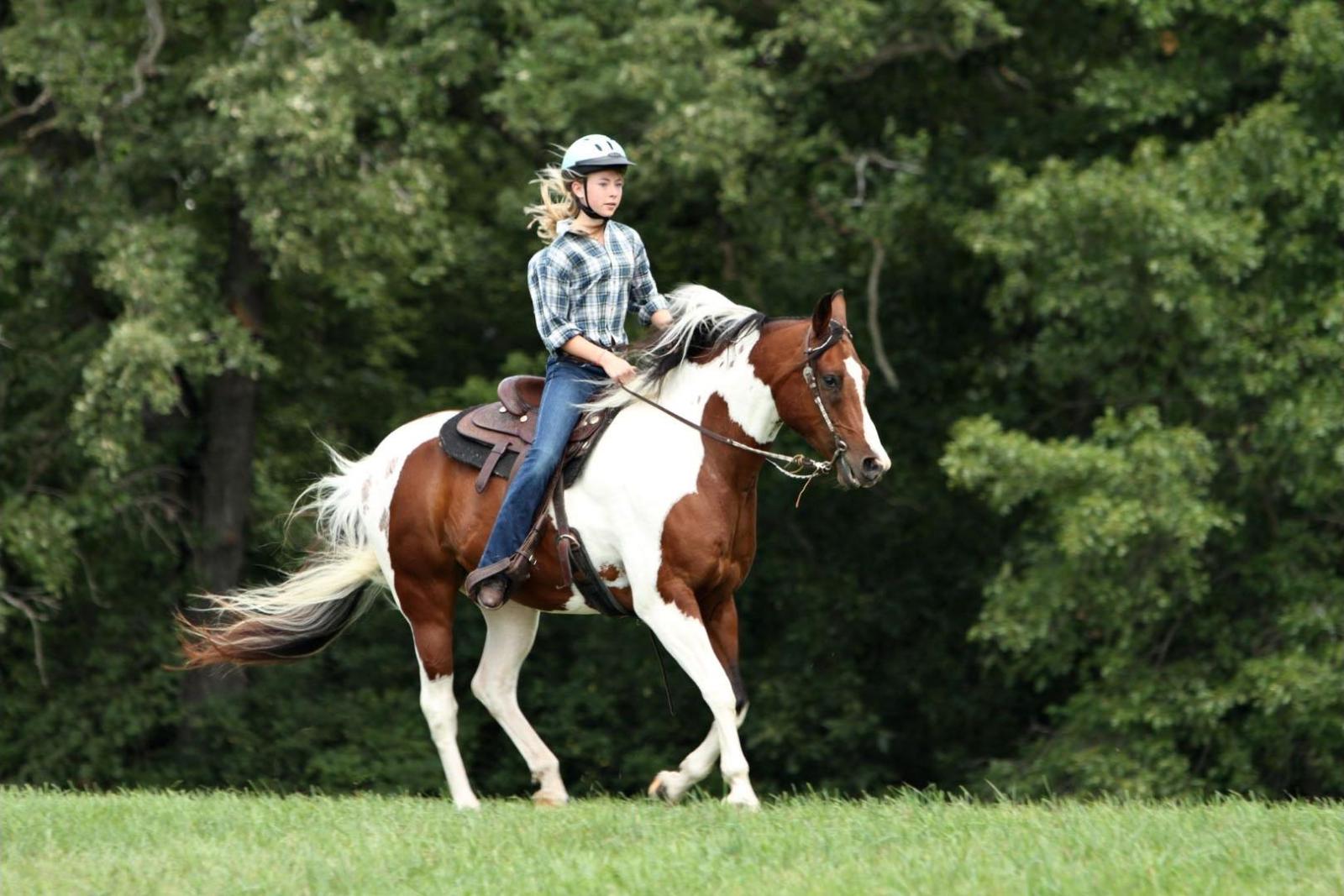 cavalière